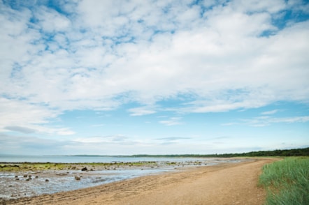 Beach at Seton Sands