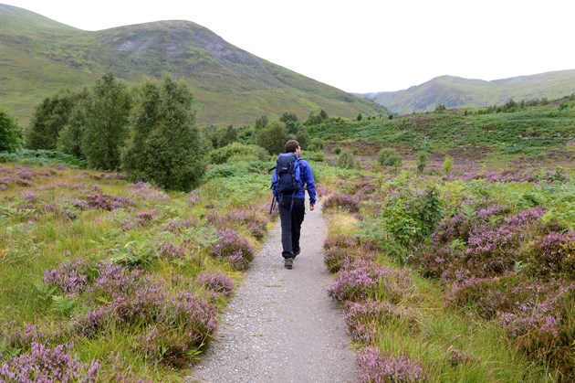 Thathar a’ moladh do dhaoine a thadhlas air beanntan na h-Alba sùil a thoirt air loidhne airson fiosrachadh mu stalcaireachd fèidh: Heading for the Scottish Hills - walker on Creag Meagaidh - copyright NatureScot
