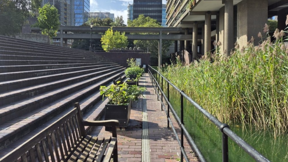 Seeds in the City 2026