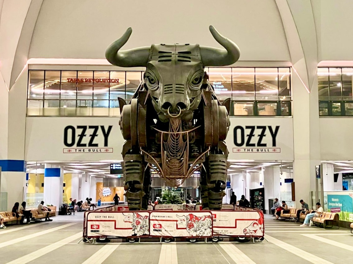 Ozzy the bull and new signage