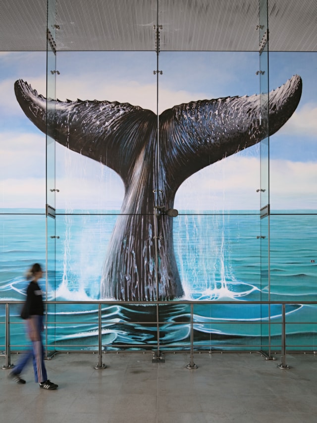 Ahmet Öğüt, ‘Saved by the Whale’s Tail, Saved by Art’, 2025, Stratford station. Commissioned by Art on the Underground and New Contemporaries. Photo: GG Archard.
