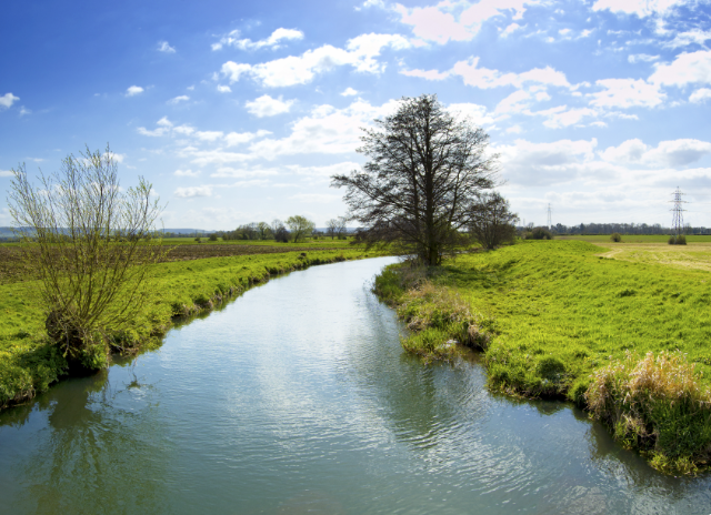 Local Flood Risk