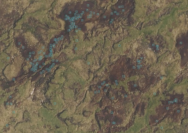 Aerial shot of a deer herd identified by the AI software ©EOLAS Insight/GetMapping