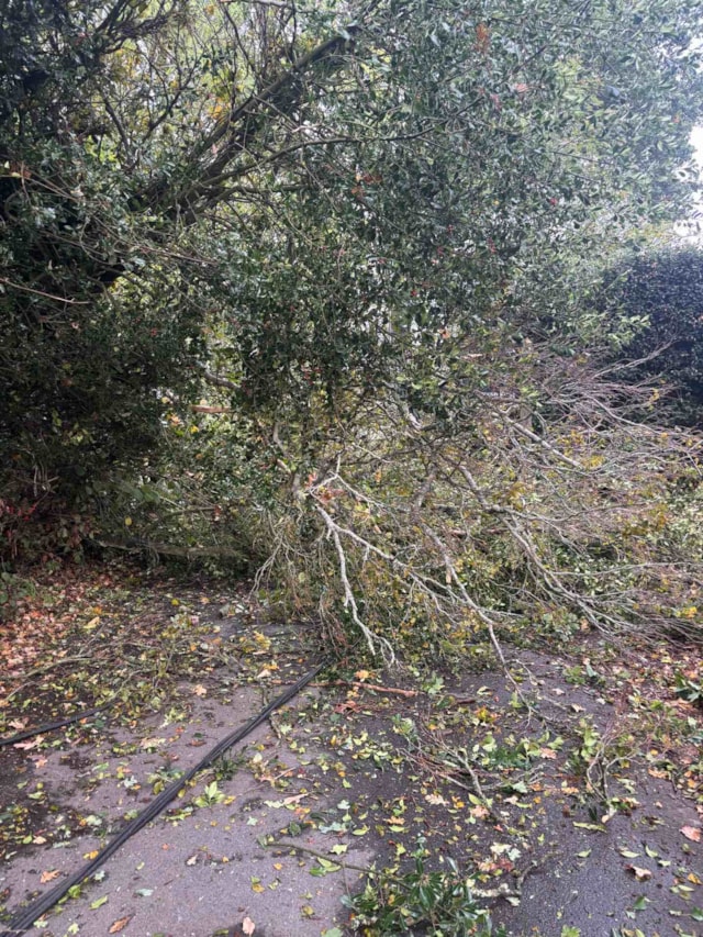 October storms: East Sussex Highways dealt with 218 emergency calls as Storm Austen and Storm Boleo hit the county, bringing down trees and causing flooding