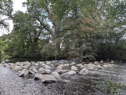 Westcountry Rivers Trust: Westcountry Rivers Trust