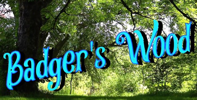Badger's Wood 4: Badger's Wood 4