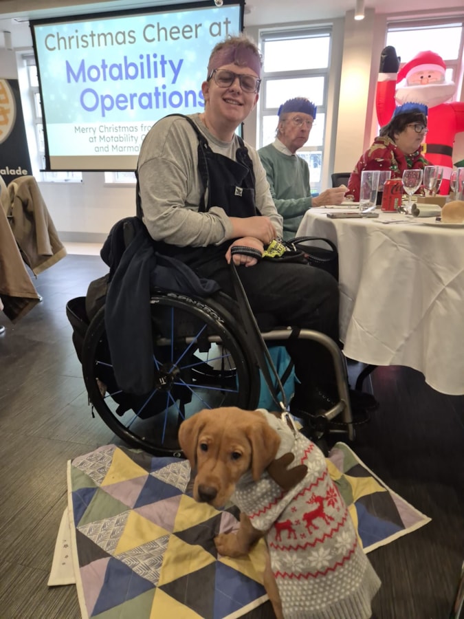 BristolChristmas2024-charlie: Charlie and Harley with Michael and Sally in the background