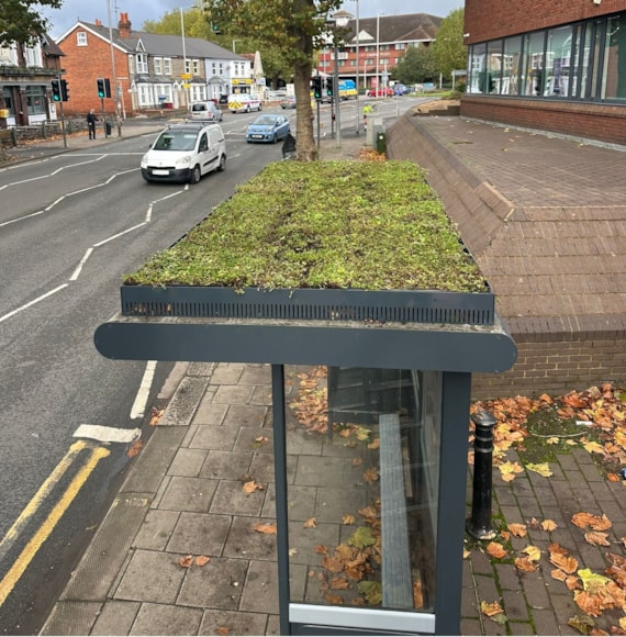 Green bus shelters - The Moderation