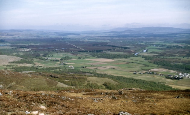 1 Craigellachie(1960s) ©NatureScot