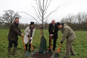 aldenham-country-park-planting-with-guests-2