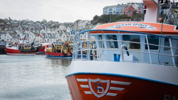UK’s seafood trade tops £6 billion as domestic and global demand strengthens: AS8A3997 - Large