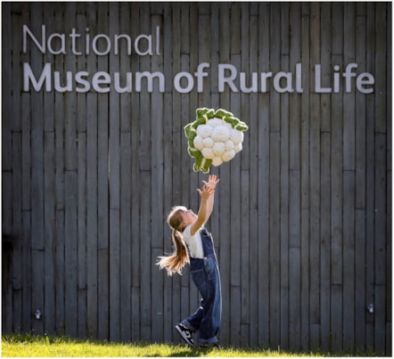 Woolly Weekend at the National Museum of Rural Life. Photo © Paul Dodds (1)