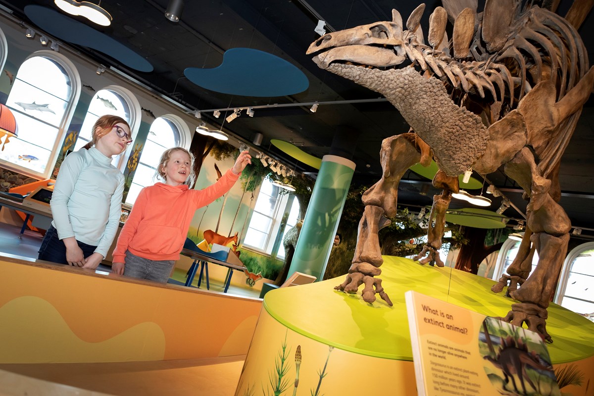 Adventure Planet at the National Museum of Scotland. Photo © Ruth Armstrong (5)