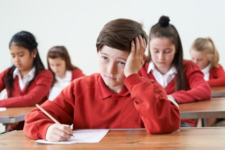 Pupils (2)