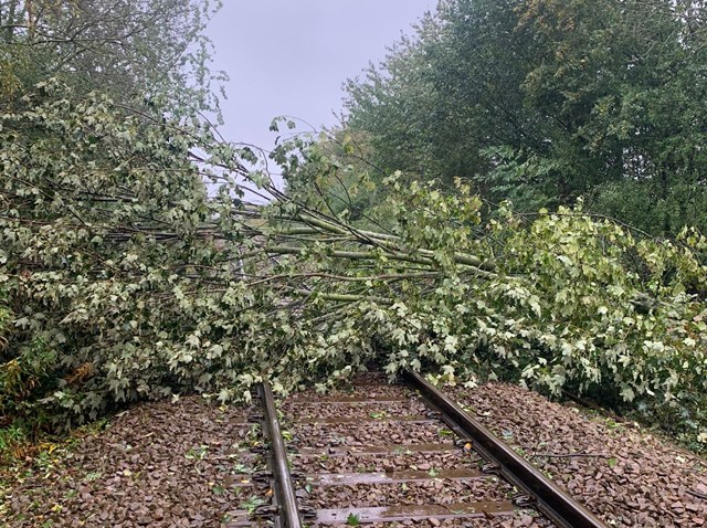 East Coast Main Line passengers urged to plan ahead with Storm Ciarán set to bring strong winds and heavy rainfall: Tree on the line between North Road Darlington and Heighington, Network Rail