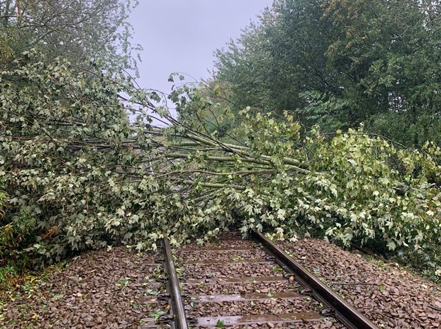 Tree on the line between North Road Darlington and Heighington, Network Rail: Tree on the line between North Road Darlington and Heighington, Network Rail