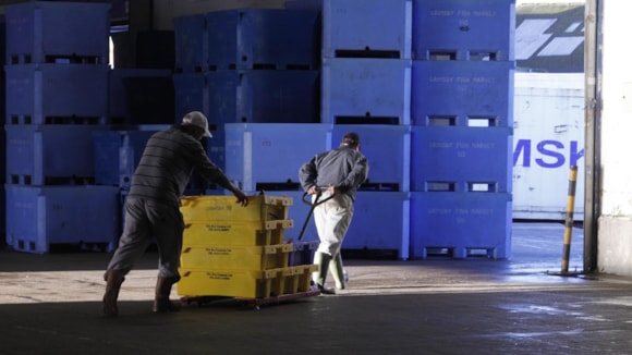 UK seafood businesses invited to meet major international buyers: market018 - Large