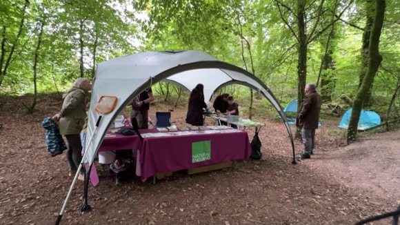 Wild Wellbeing 2 (activity tent)