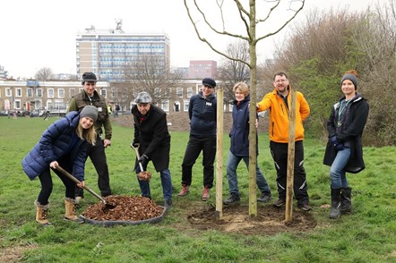 A honey locust being planted at Barnard Park in March 2022 - the 700th tree to be planted in the borough between March 2021 and March 2022