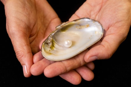 The Abernethy Pearl. Image copyright Duncan McGlynn (5)