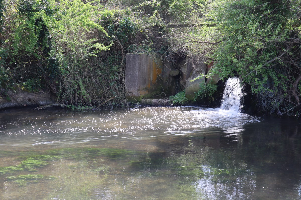 River Coln, Fairford