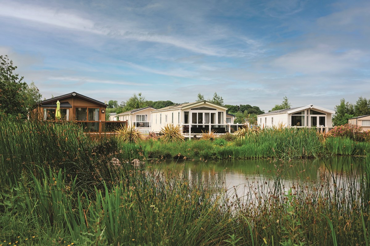 Stunning Views at Seton Sands