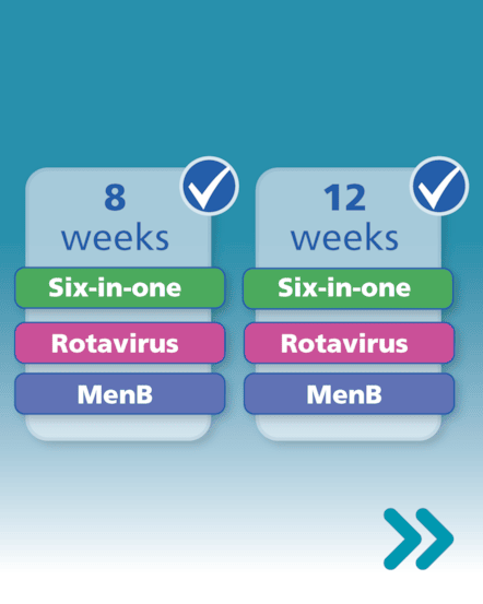 Childhood Imms Asset 7.2 (Carousel)