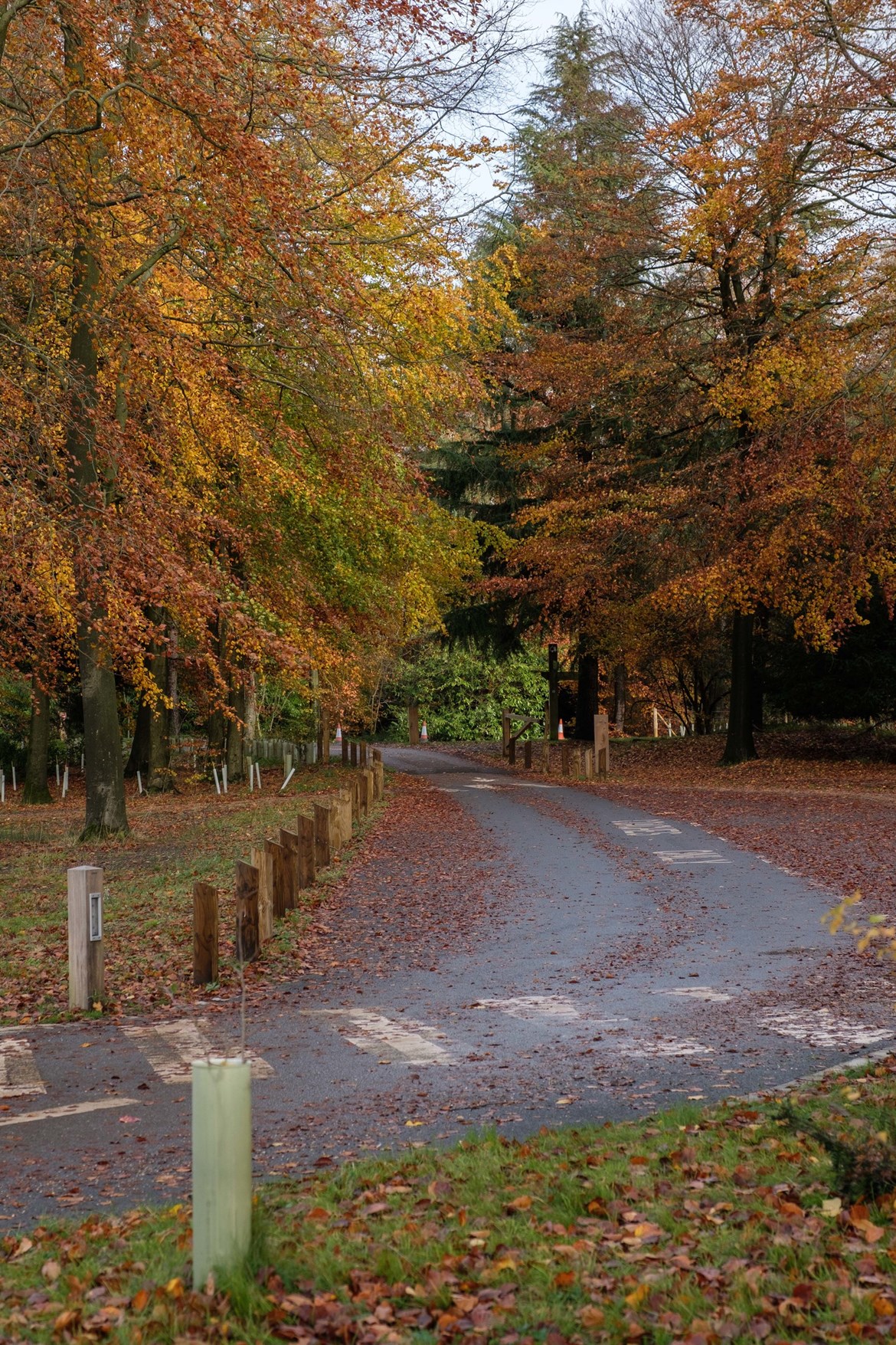 Wendover Woods Community Centre CEF November 2019