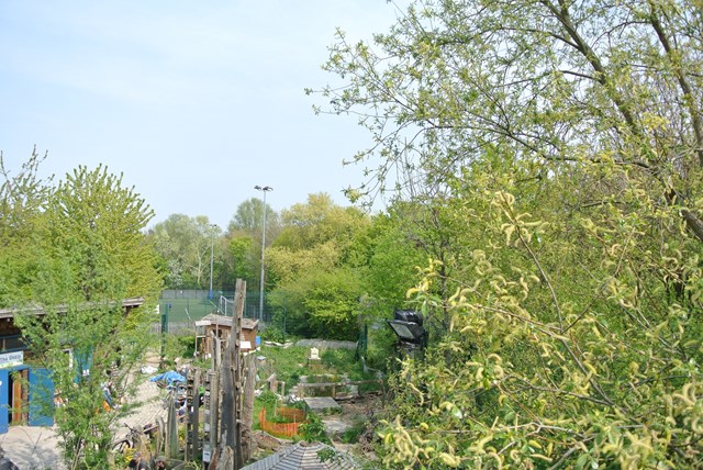 Bringing the sound of bird song to London Bridge Station: Soundcamp and Jessie Brennan Sounds Interrupted Image Stave Hill Ecological Park Rotherhithe View from streambox location 17 April 2019
