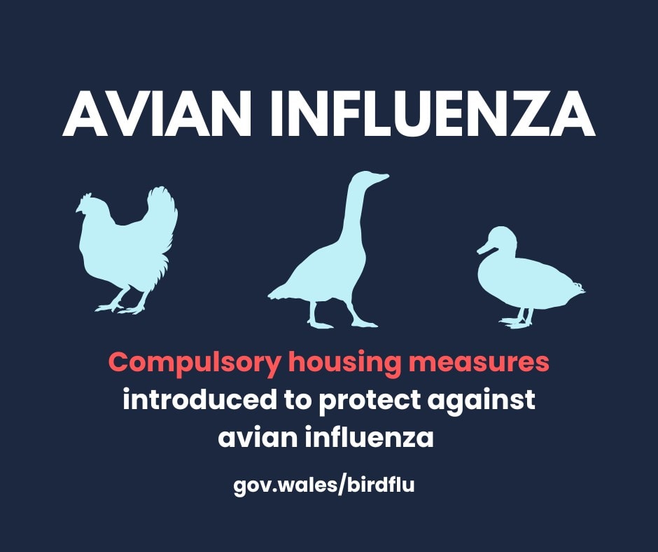 AI Housing ENG (Facebook Post) 2