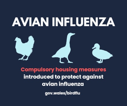 AI Housing ENG (Facebook Post) 2