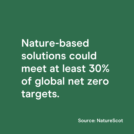 Social Asset - Nature 4 - 1080x1080 - Lets Do Net Zero