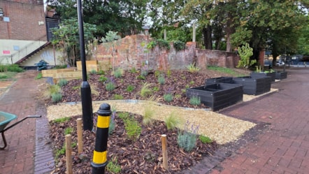 Community Garden 4