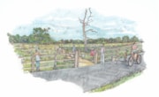 Clyst Meadows sketch - c EDDC: Clyst Meadows sketch - c EDDC