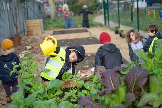 Castlehaven Park November 2019: Castlehaven Park, horticulture hub, HS2 Community Environment Fund, HS2 Business and Local Economy Fund, CEF, BLEF, community engagement, Camden, London, Groundwork