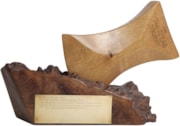 Pic 6 - The Tim Stead Trophy: Pic 6 - The Tim Stead Trophy