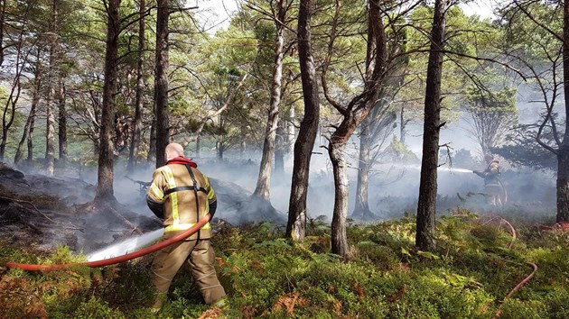 Firefighting after a camp fire caused a wildfire on the island of Eilean Eachainn in NatureScot’s Beinn Eighe and Loch Maree Islands National Nature Reserve last year ©Doug Bartholomew/NatureScot