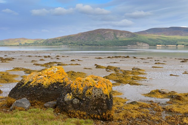 Loch Fleet: Pleae credit Lorne Gill/SNH