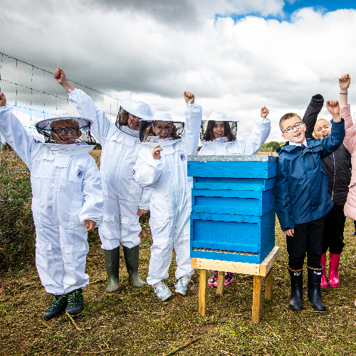 The Great British Bee Project