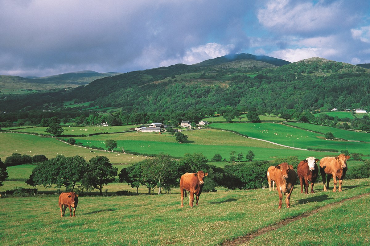 The Britain-wide Red Meat Levy Ring-fenced Fund will increase from £2million to £3.5million next year