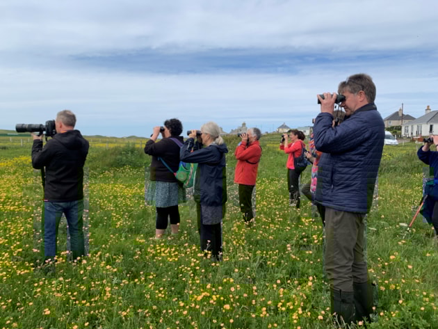 RSPB event - OHWF 2025 (c) Eilidh Ross
