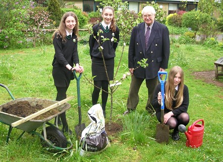 Wood Green School Climate Comp