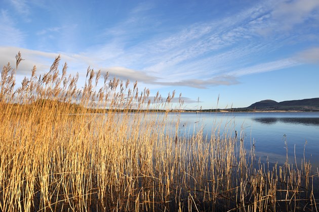 Loch Leven NNR near Kinross © Lorne Gill/SNH
