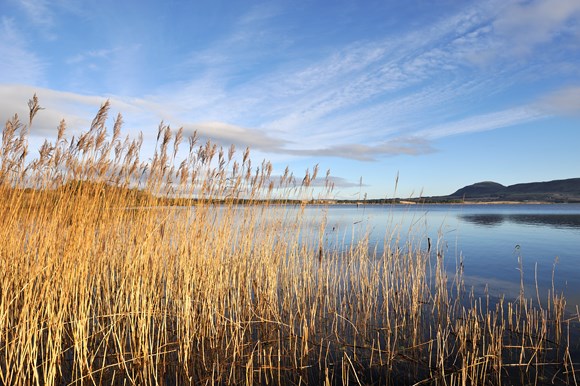 Loch Leven NNR near Kinross ©Lorne Gill SNH