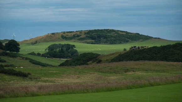 New report shows significant shift in Landlord-Tenant Relations for Scotland’s farmers: Review of agents - Unsplash