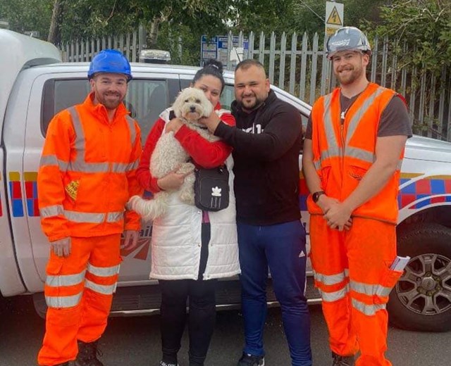 Dog rescued from tracks