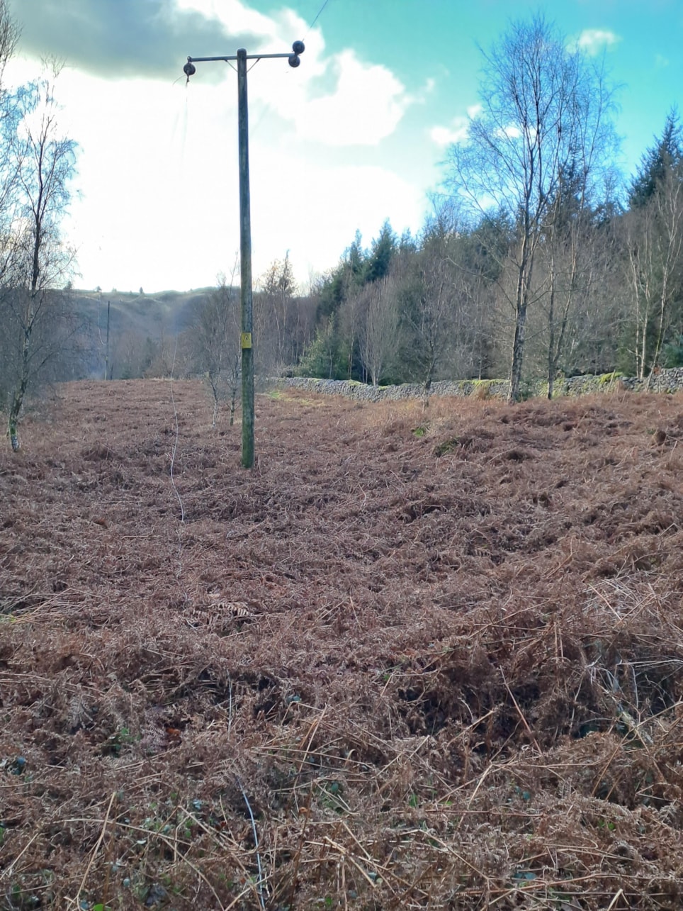 Eskdale line down