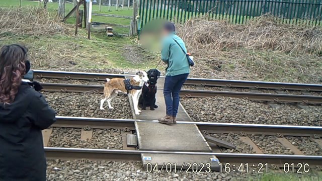 Dog walkers posing their dogs on level crossing for a photograph: Dog walkers posing their dogs on level crossing for a photograph