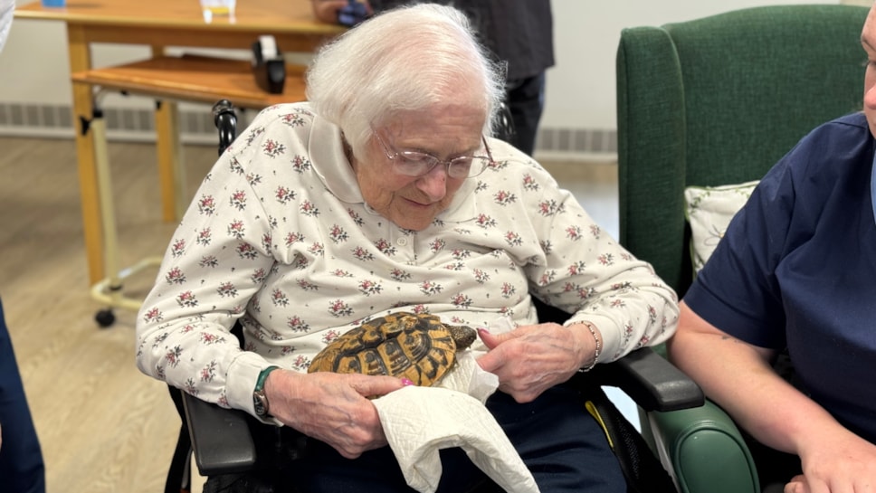Margot Fall with tortoise