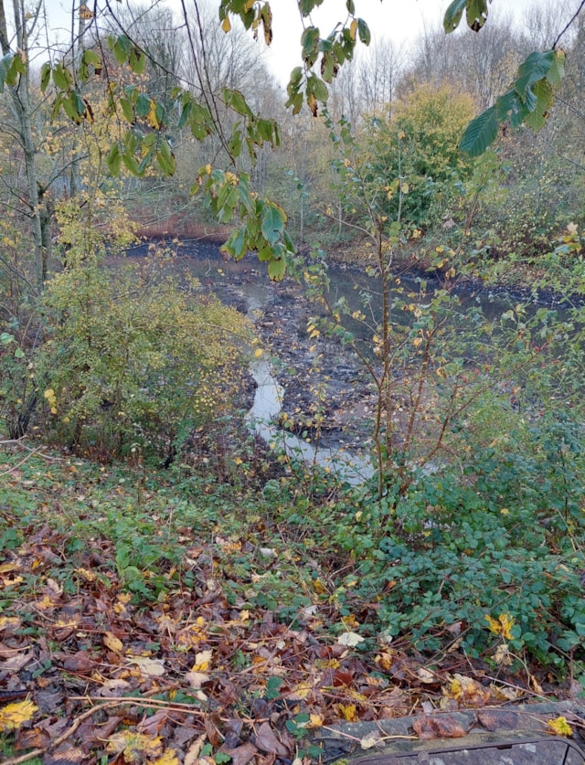 Road drainage and accumulated sediment at the Keep balancing pond